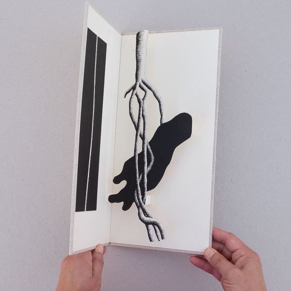 Caderno II, 2014