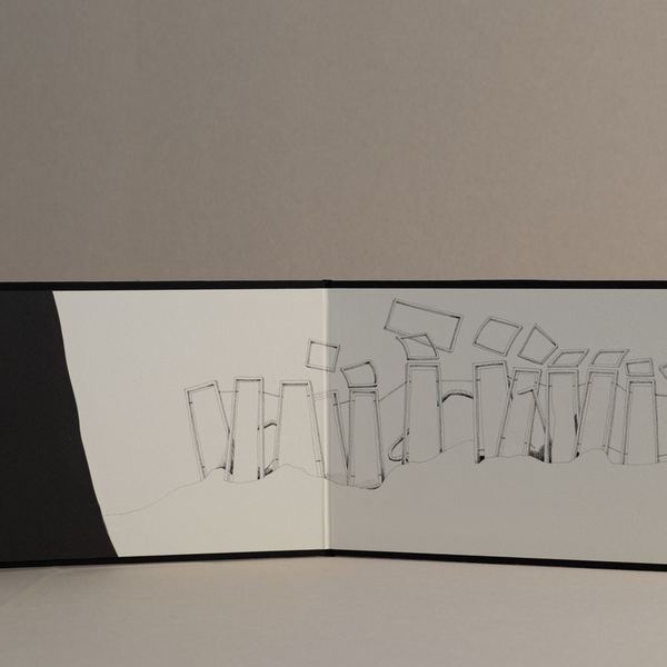 Botânica II, 2017