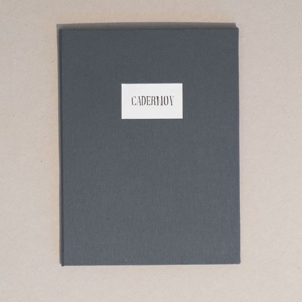 Caderno V, 2017