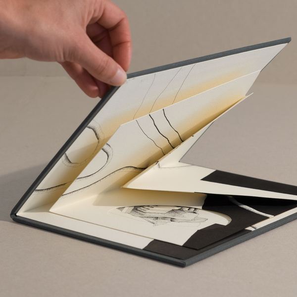 Caderno V, 2017