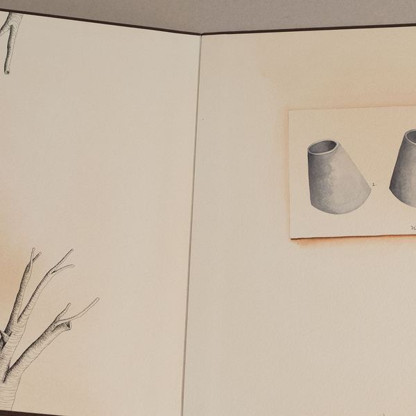 Caderno VI, 2017