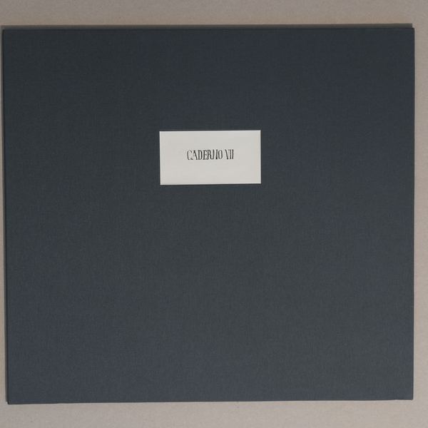 Caderno VII, 2017