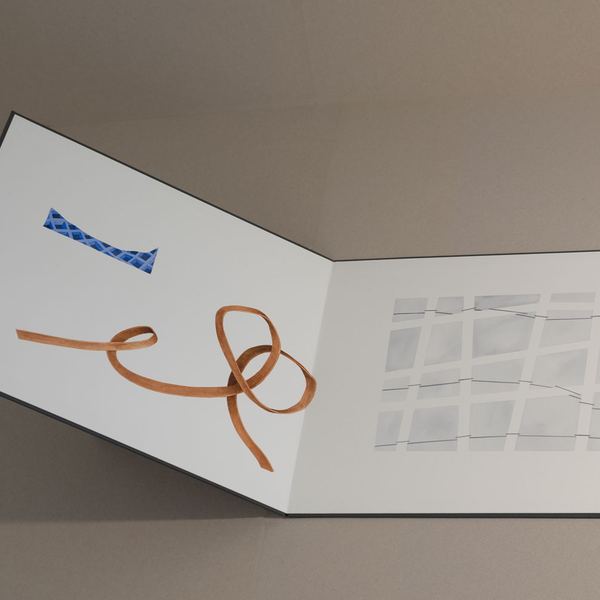 Caderno VII, 2017