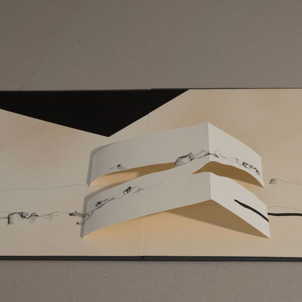 Flora IV, 2017