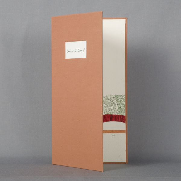 Caderno de Campo IV, 2026