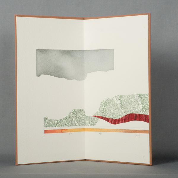 Caderno de Campo IV, 2026