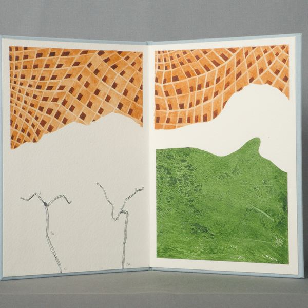 Caderno de Campo V, 2026
