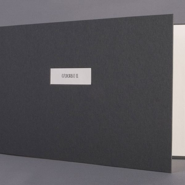 Caderno II