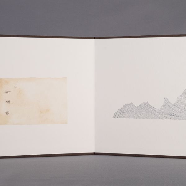 Caderno IV