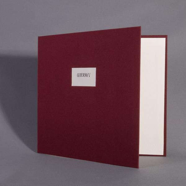 Caderno V