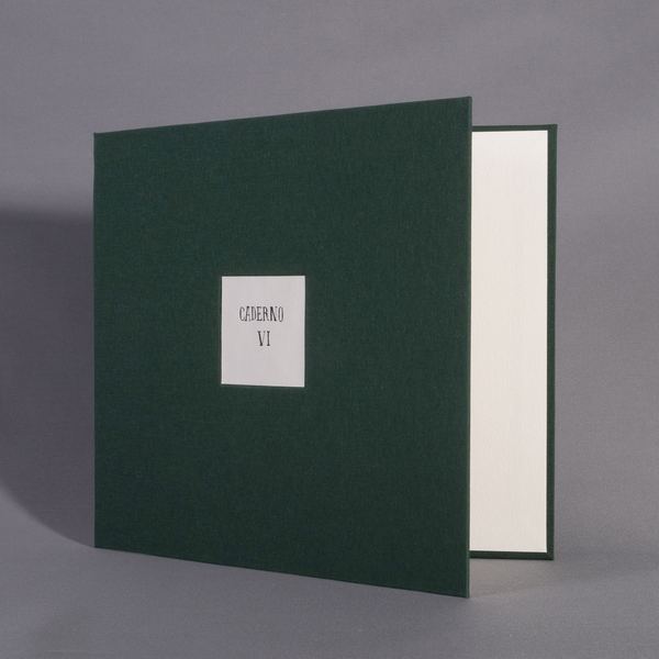 Caderno VI