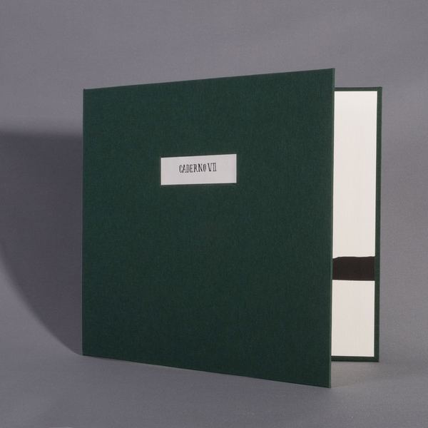 Caderno VII
