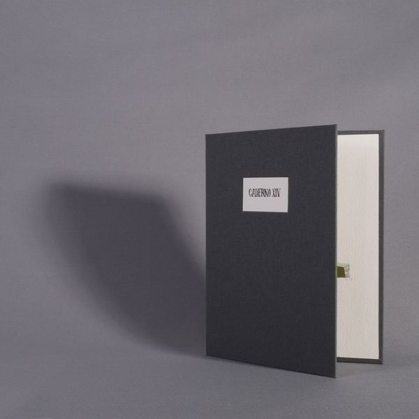 Caderno XIV