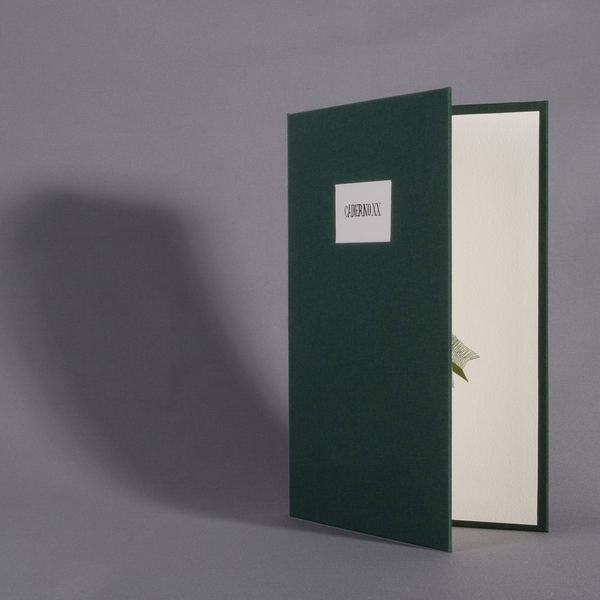 Caderno XX