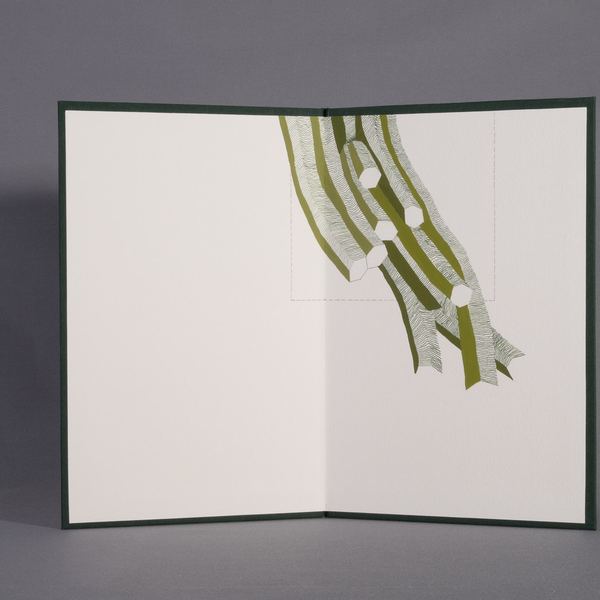 Caderno XX