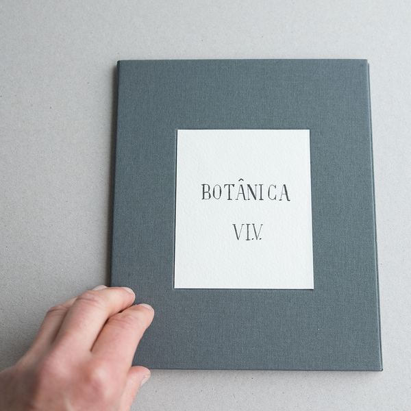 Botânica VI.V., 2014