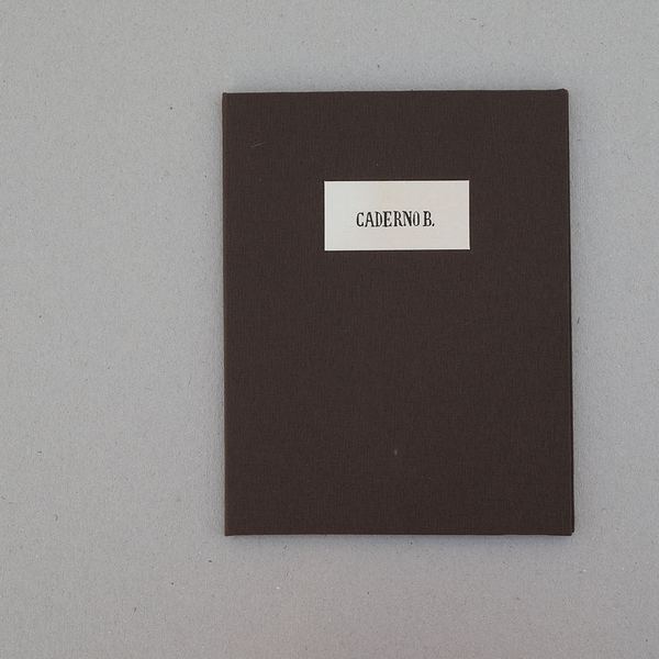 Caderno B, 2014