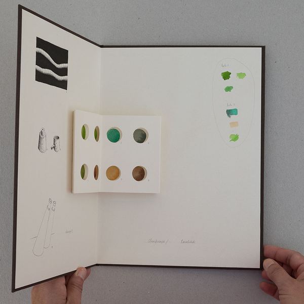 Caderno de Campo, 2016