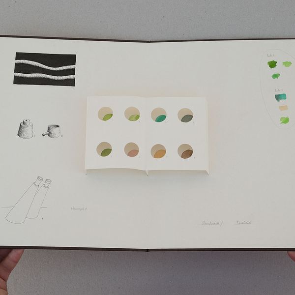 Caderno de Campo, 2016