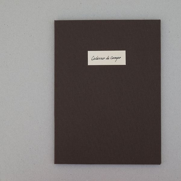 Caderno de Campo, 2016