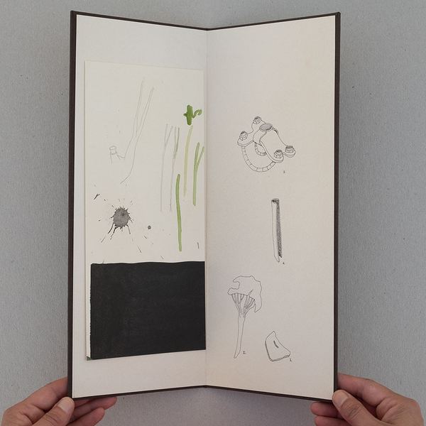 Flora, 2014