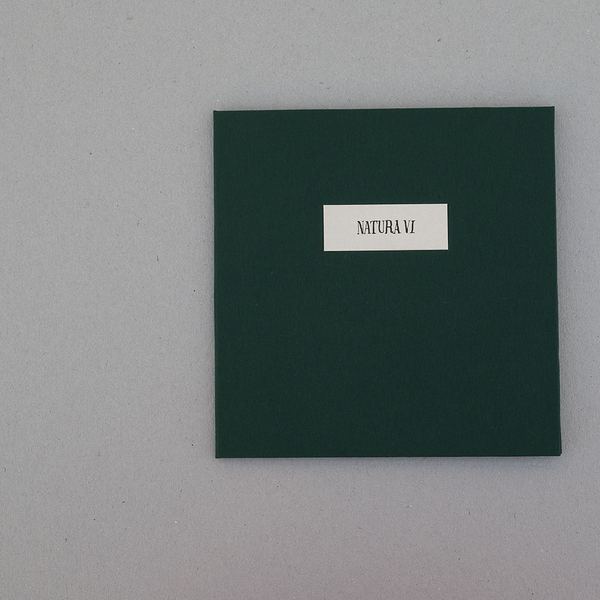 Natura VI, 2016