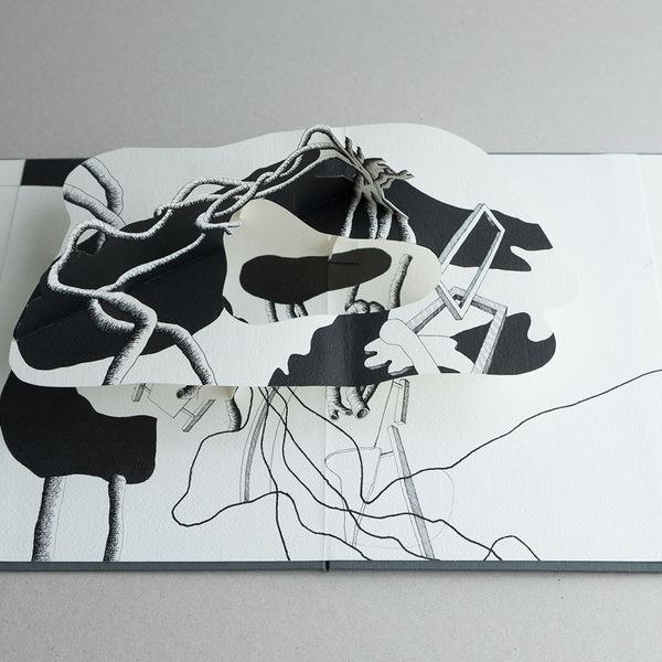 Natura IV, 2014