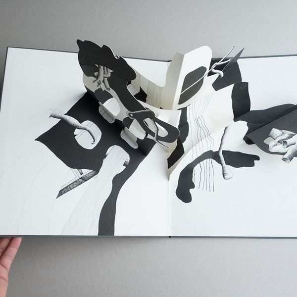 Natura V, 2014