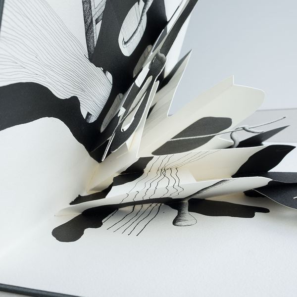 Natura V, 2014
