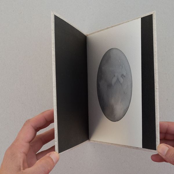 Natura VIII, 2016