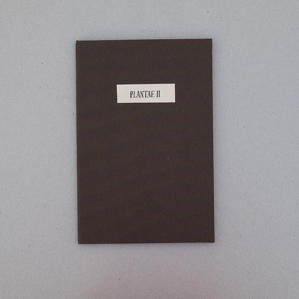 Plantae II, 2016