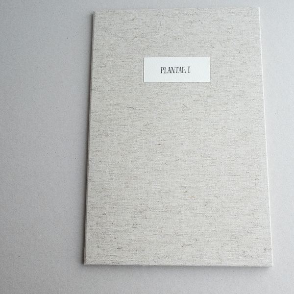 Plantae I, 2016